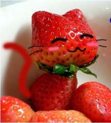 Strawberrycat.jpg