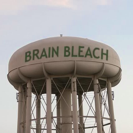 brainbleachtower-427x427.jpg